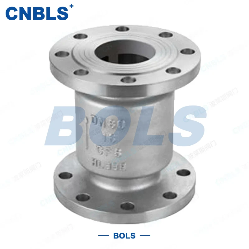 Stainless Steel Vertical Check Valves